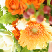 記念日・お祝いに泊まりたい宿